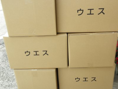 画像3: 綿色メリヤス小サイズ　1ｋ・290円　20k販売　ほこり取り済